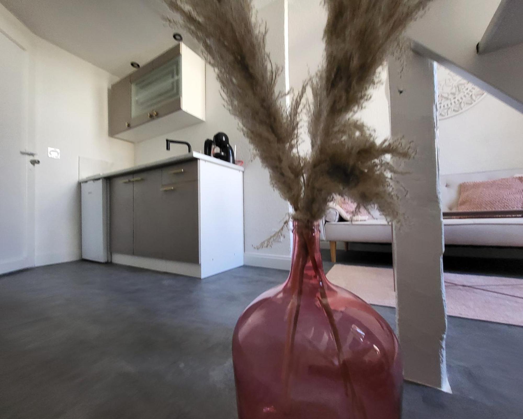 Appartamento Agence Du Sacre Coeur Immobilier Perpignano Camera foto